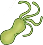 19.png 19.png